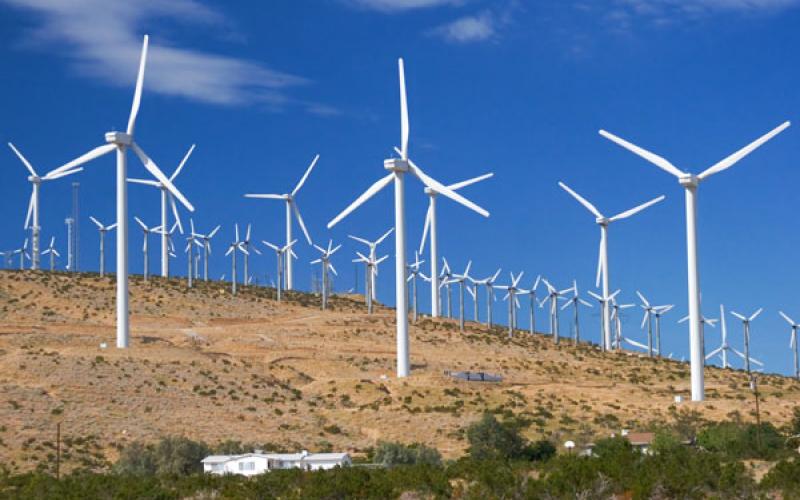 تساؤلات حول تأخر مشاريع الطاقة المتجددة