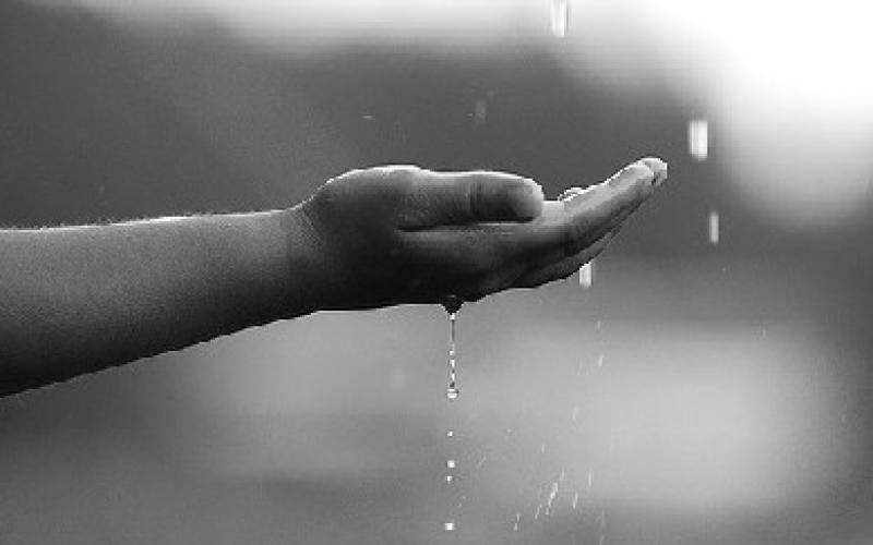 "اتحاد المزارعين" يطالب بصلاة استسقاء