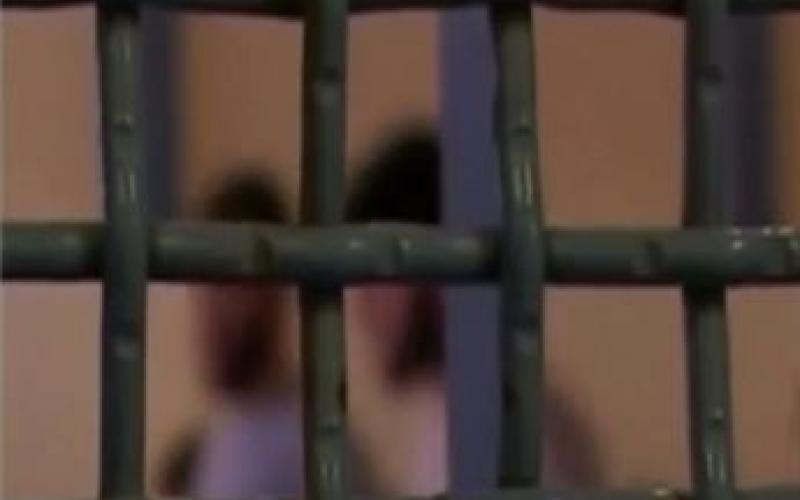 حوالي5000 أسير في سجون الاحتلال بينهم 200 طفل