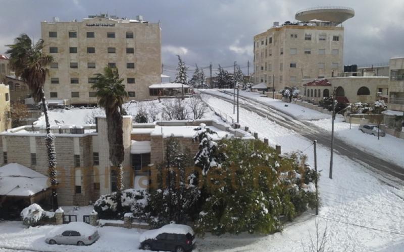 الزائر الأبيض في ضاحية الرشيد- بعدسة الزميلة "هبة الحياة" عبيدات