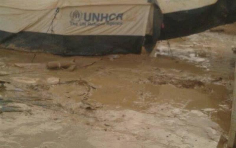 برد الوطن.. أفضل من دفء الغربة