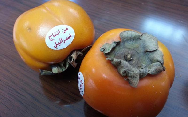 حدادين: لا إجراءات جديدة على استيراد المنتجات الزراعية من اسرائيل 