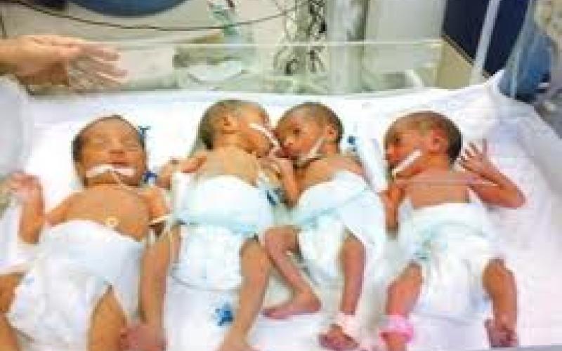 ولادة 1549 طفلا سوريا في المفرق العام الماضي