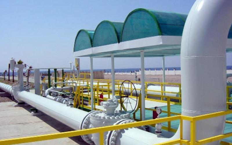 السفير المصري: الاخوان وراء تفجير خط الغاز لقطع العلاقة مع الاردن