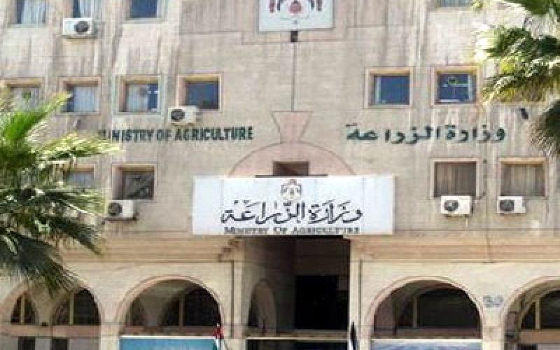 "مصدري الخضار": الزراعة تخالف اتفاقيات التبادل التجاري 