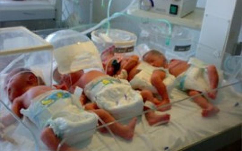 أطفال سوريون يولدون في المجهول