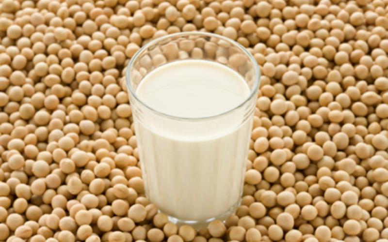 توقع انخفاض أسعار البقوليات وارتفاع الحليب