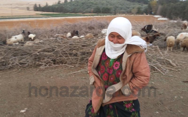 أمهات في الظليل يتحدين الفقر وينتزعن الحياة لأسرهن