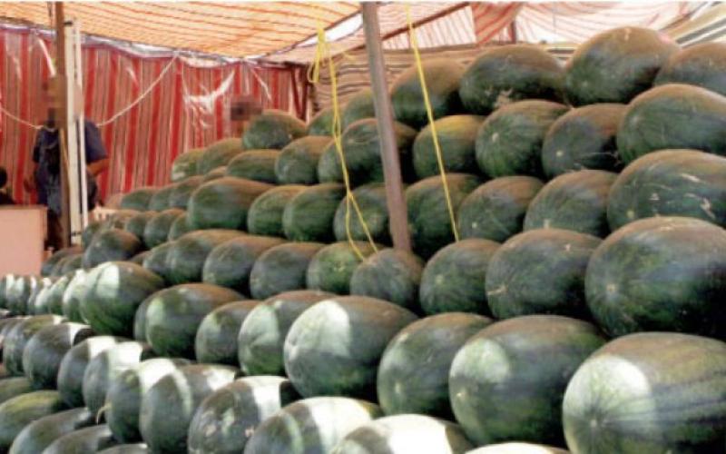 حملة على "المعرشات" ومنعها بالشوارع الرئيسية