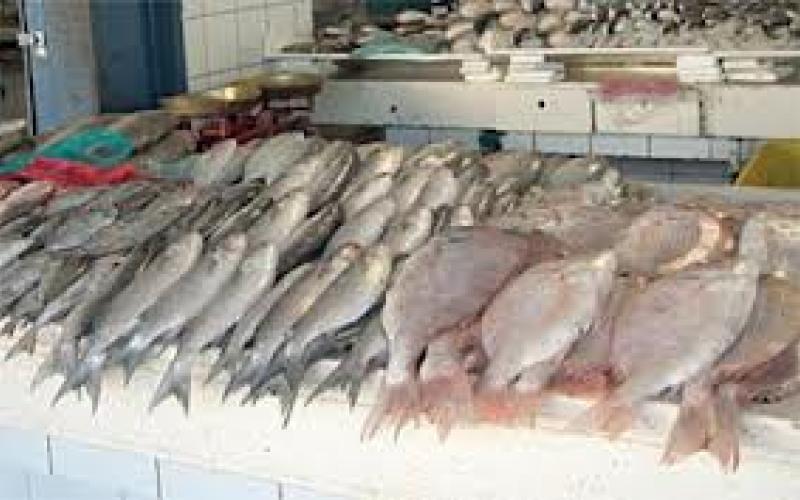 تحذيرات من السمك الإسباني