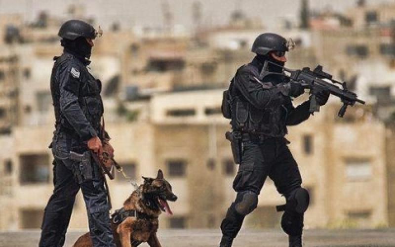 11 الف حملة أمنية والقبض على نحو 49 الف شخص منذ بداية العام