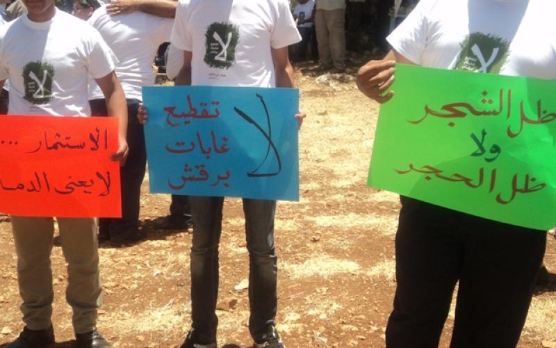 أشجار برقش.. بين أقلام الكتّاب