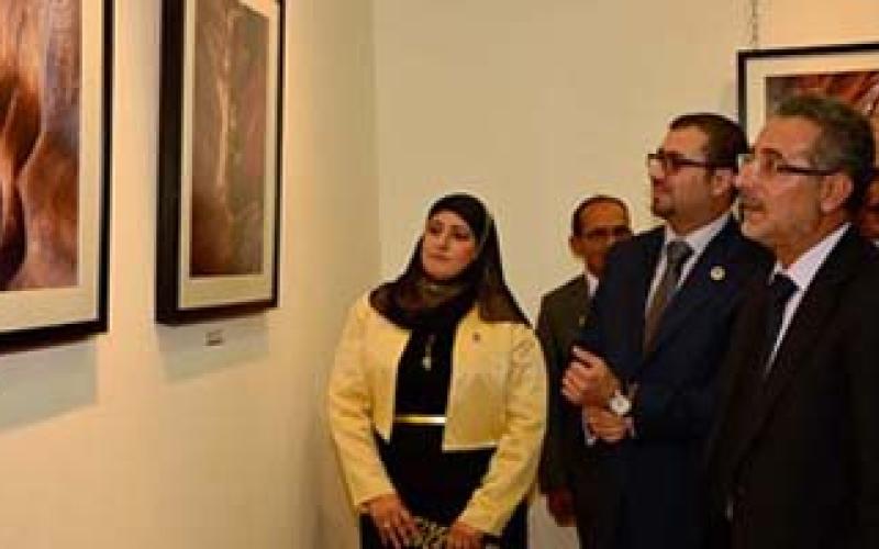 معرض "الطبيعة الصامتة" في جاليري رأس العين