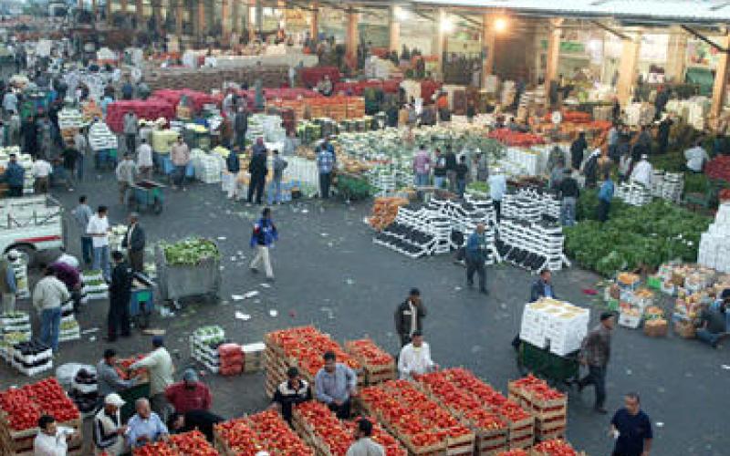 استقرار أسعار المنتجات الزراعية على انخفاض