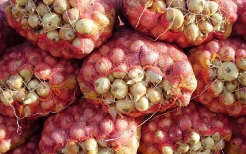 الزراعة تعيد فتح باب استيراد البصل بعد انخفاض انتاجه محلياً 