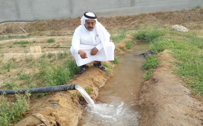 خبراء : على المزارعين التوجه إلى زراعة المحاصيل التي لا تستهلك المياه