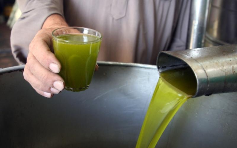 ضبط كميات كبيرة من زيت الزيتون المغشوش بإربد 