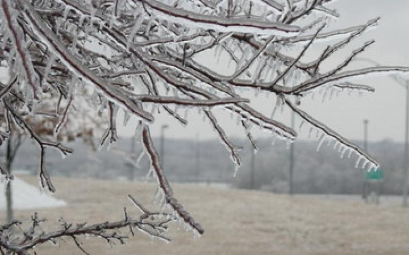 طقس بارد واحتمال تشكل الصقيع اليوم وحتى السبت