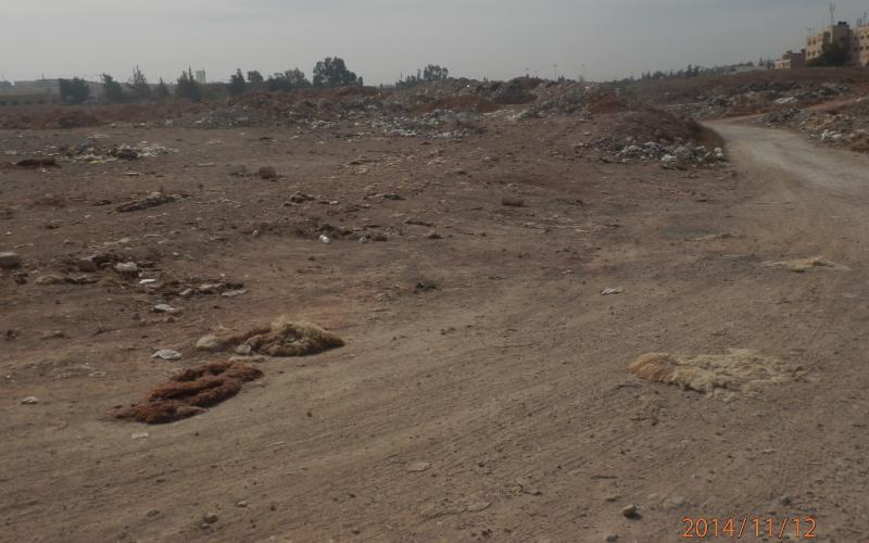 مخلفات أضاحي لا تزال متكدسة في الزرقاء منذ العيد