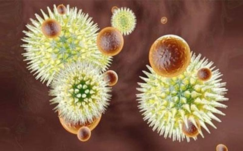 اهم الأحداث الصحية لعام ٢٠١٤