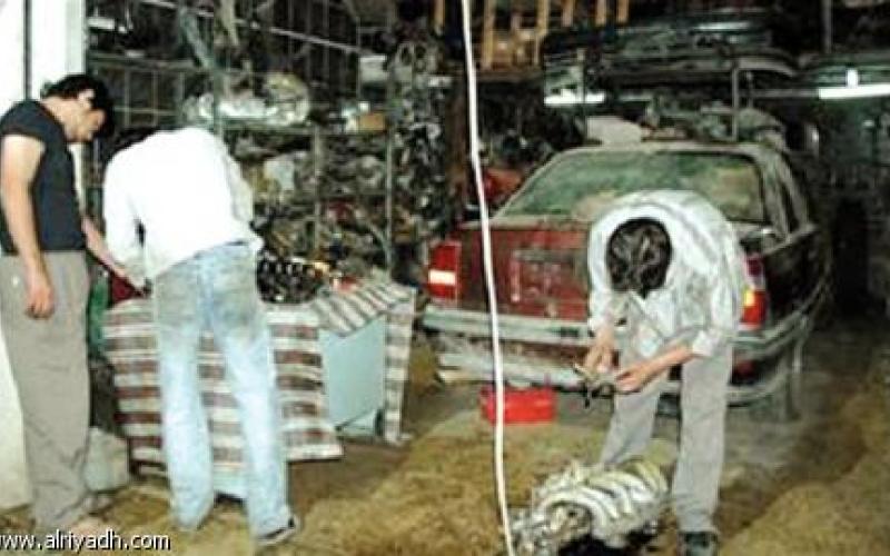 "ثقافة العيب" ترهق حملة الشهادات العليا من اللاجئين العاملين