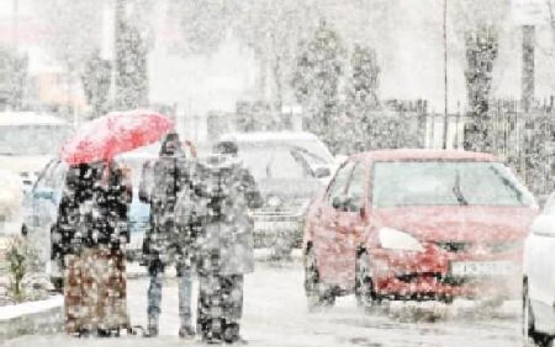 "الطاقة والمعادن" تعلن حالة التأهب للمنخفض الجوي