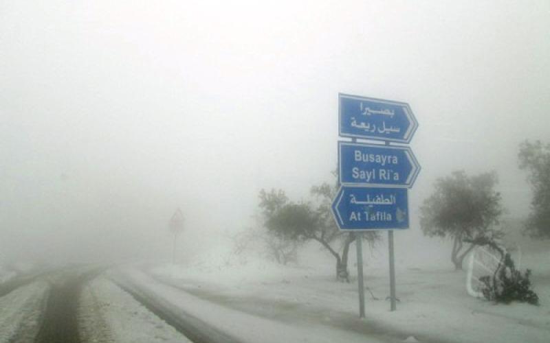 إجراءات عاجلة لتأمين الخبز بالطفيلة