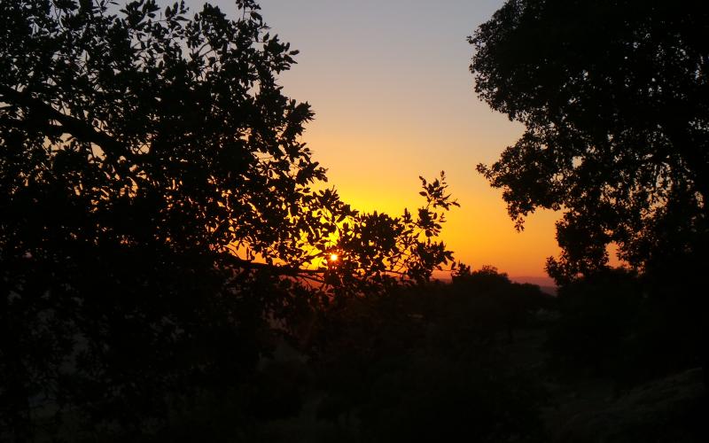 ارتفاع على درجات الحراة الخميس والجمعة