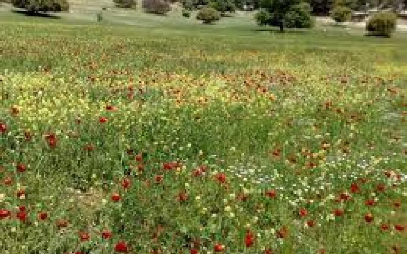 واقع التسهيلات البيئية ومدى توفيرها (2)