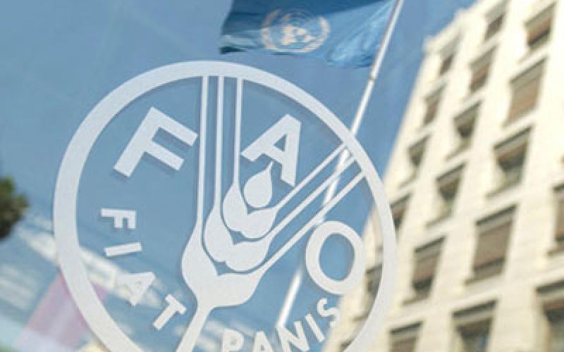 "الفاو": الأزمة السورية تخلف نحو 10 مليون شخص غير آمن غذائياً