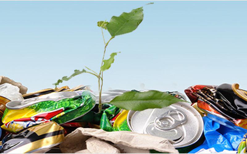 الأمانة تستدرج شركات محلية لاستخراج الطاقة من النفايات الصلبة