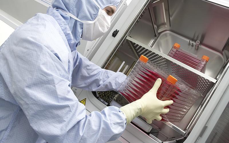 نقل الخلايا الجذعية حلم الكثير من المصابين السوريين في الأردن