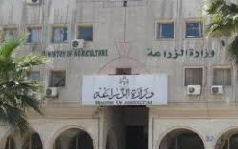 تحديات وفرص القطاع الزراعي في الأردن