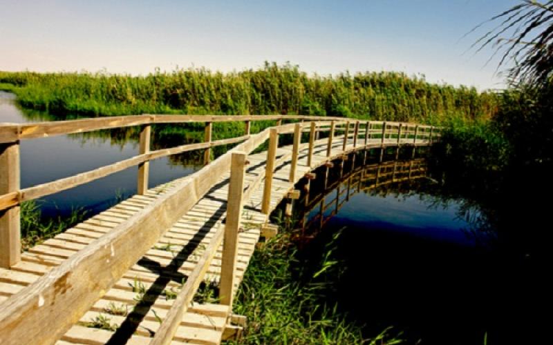 محمية الازرق تجاهد لاستعادة مياهها وطيورها المهاجرة