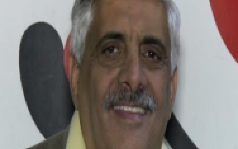 الربيع العربي" والتشاركية الإنتقالية"