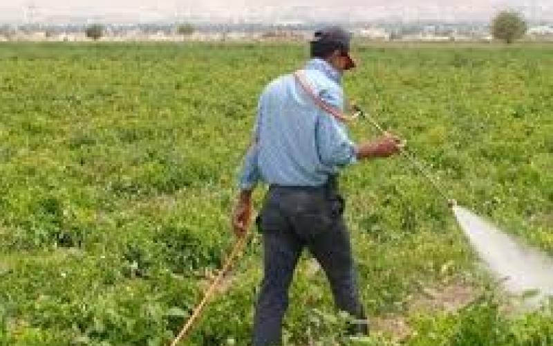 أثراستخدام المبيدات الزراعية في الأردن