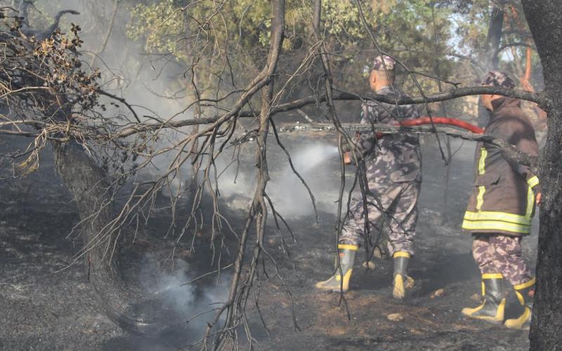 لجنة تحقيق بحريق أحراش برما