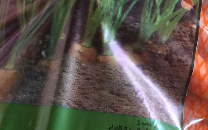 "أين المنشأ": كميات من الجزر الإسرائيلي في السوق المركزي