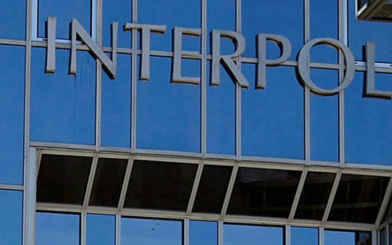 الانتربول يقبض على 3 مطلوبين دوليين داخل الأراضي الأردنية