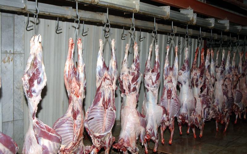 "المسالخ": استقرار أسعار اللحوم والدجاج