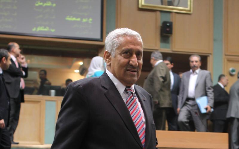 النسور يؤكد: لن نتدخل في سوريا عسكريا