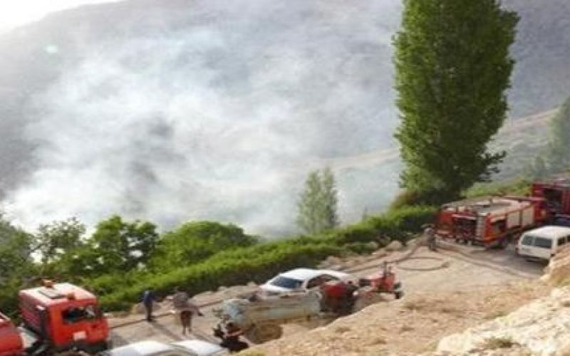 حريق يأتي على 350 دونم أعشاب بالقرب من محمية ضانا