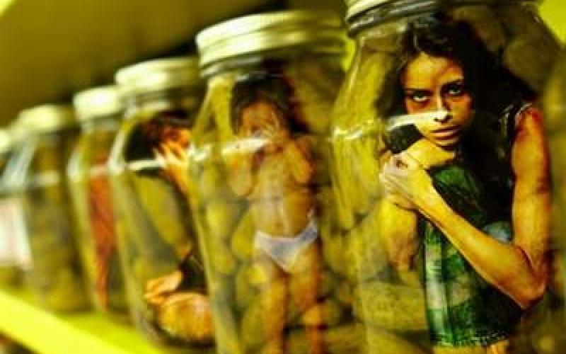 كلش: أعداد ضحايا الاتجار بالبشر أكبر من المعلن عنه