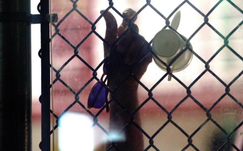 ناشطون: تغذية الأسرى القسرية تصريح بالقتل قانونيا