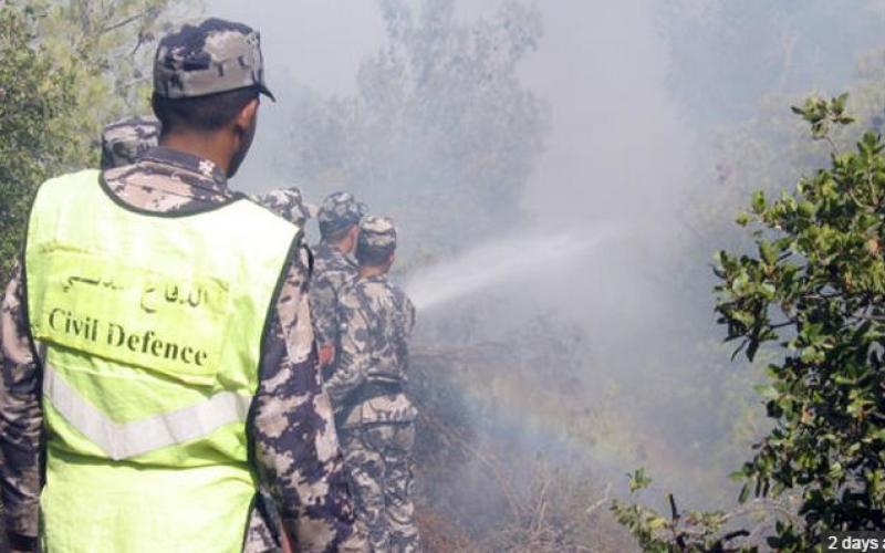 حريق أشجار حرجية وأعشاب جافة في عجلون