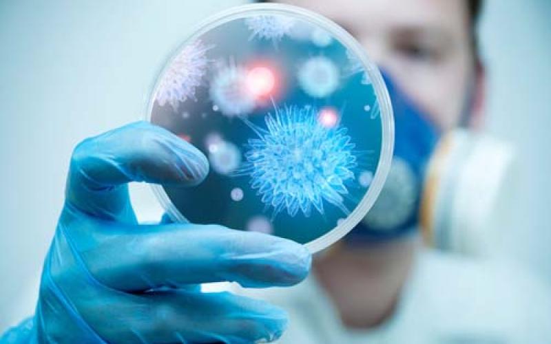 "الصحة" تجدد تحذيراتها للمواطنين المتجهين للحج لتجنب الإصابة بـ "الكورونا"