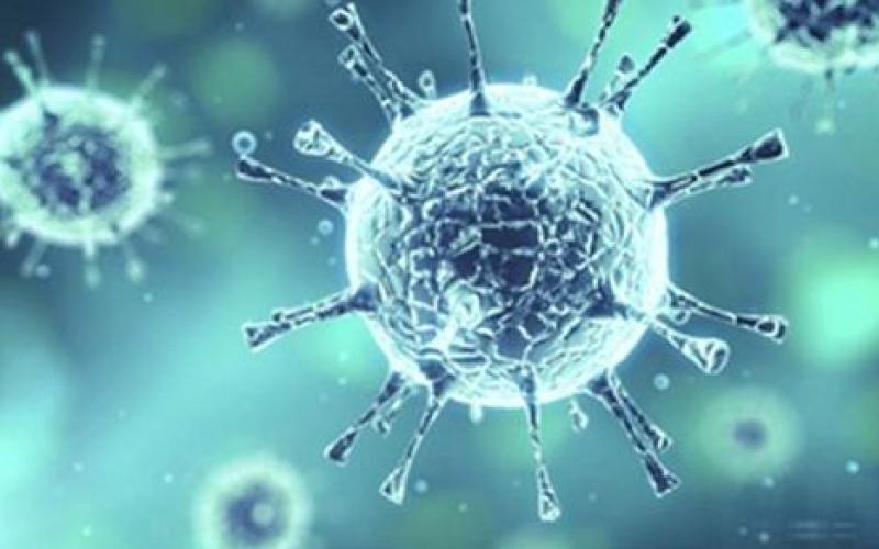 الصحة: لا ربط وبائي بين حالات الإصابة بالكورونا