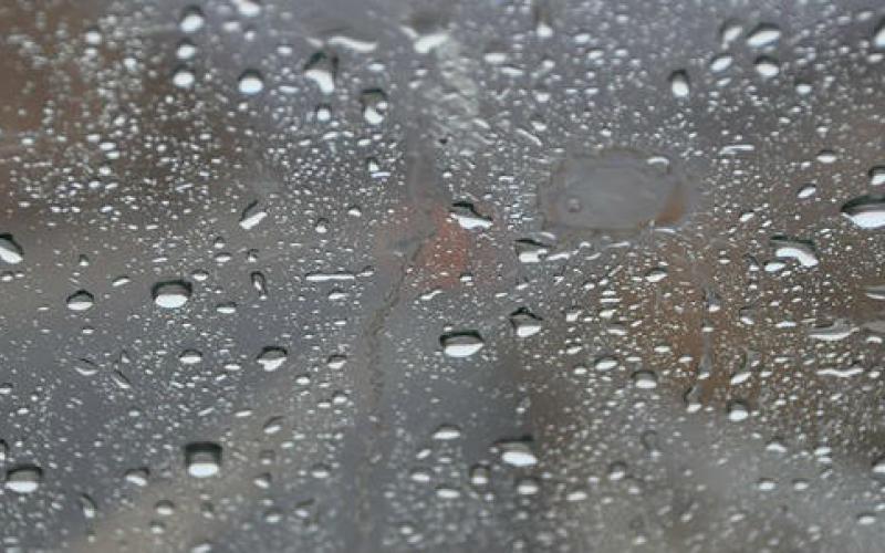 أمطار خفيفة والعظمى في عمّان 34