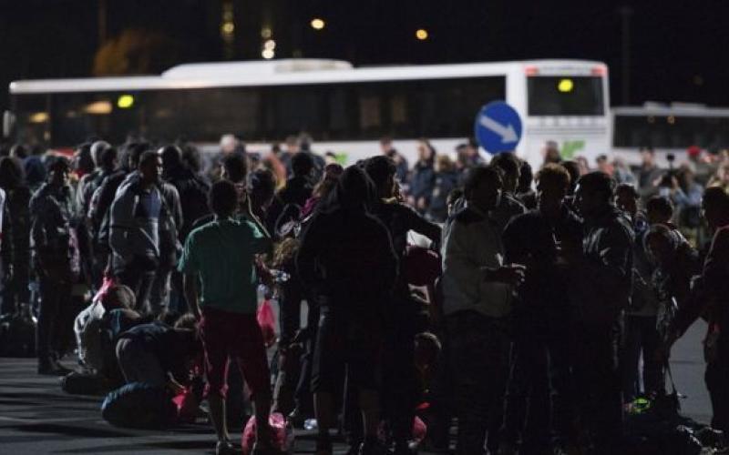 موجة جديدة من اللاجئين في النمسا