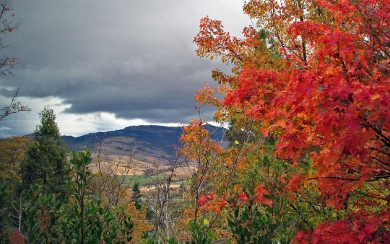 حالات عدم استقرار جوي متوقعة بدخول الاعتدال الخريفي